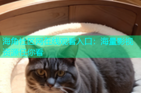 海角社区网在线观看入口：海量影视资源任你看