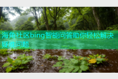 海角社区bing智能问答助你轻松解决疑难问题