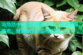 海角路中山社区服务中心：打造智慧养老、健康生活的温馨家园