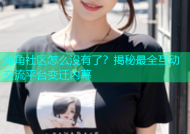 海角社区怎么没有了？揭秘最全互动交流平台变迁内幕