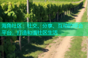 海角社区：社交、分享、互动的综合平台，打造和谐社区生活