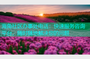 海角社区办事处电话：快速服务咨询平台，随时随地解决您的问题