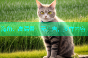 海角：高清看，无广告，多样内容
