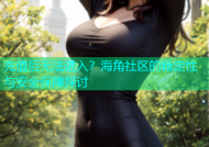 充值后无法进入？海角社区的稳定性与安全保障探讨