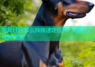 海角社区怎么找快速定位热门话题与优质资源