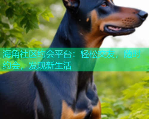 海角社区约会平台：轻松交友，随时约会，发现新生活  第2张
