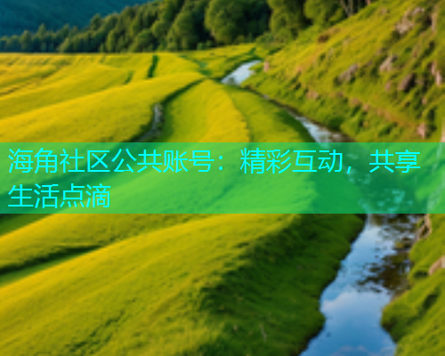 海角社区公共账号：精彩互动，共享生活点滴  第2张