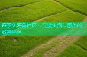 探索久海角社区：连接生活与服务的数字平台
