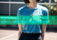 揭秘海角社区：社交、互动、购物一站式平台，卖家违法行为如何被监管？