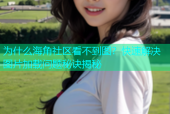 为什么海角社区看不到图？快速解决图片加载问题秘诀揭秘