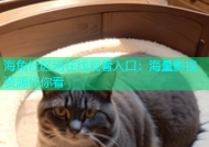 海角社区网在线观看入口：海量影视资源任你看