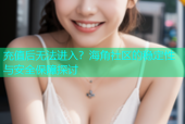 充值后无法进入？海角社区的稳定性与安全保障探讨