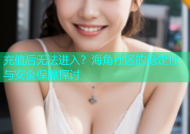 充值后无法进入？海角社区的稳定性与安全保障探讨