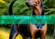 海角社区最新版本登录，畅享精彩生活