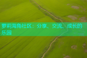 萝莉海角社区：分享、交流、成长的乐园