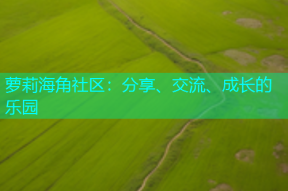萝莉海角社区：分享、交流、成长的乐园