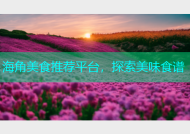 海角美食推荐平台，探索美味食谱