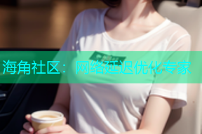 海角社区：网络延迟优化专家