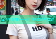海角美食推荐平台，探索美味食谱