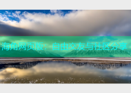 海角网页版：自由交友与社区分享