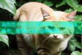 海角路中山社区服务中心：打造智慧养老、健康生活的温馨家园