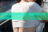兄弟们海角社区揭秘：最强互动分享与资源交流平台