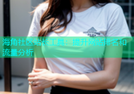 海角社区站长工具：提升网站排名和流量分析