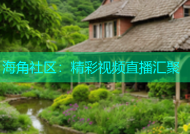 海角社区：精彩视频直播汇聚