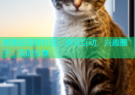 茜茜姐海角社区：多元互动、兴趣圈子、实时分享