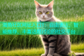 海角社区网址入口1：自由表达、智能推荐、丰富话题讨论的社交平台