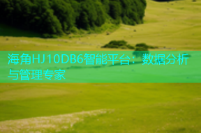 海角HJ10DB6智能平台：数据分析与管理专家