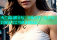 今日看料回家路：海角社区，连接你的生活与志同道合的朋友