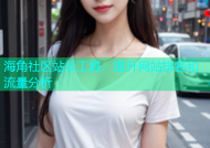 海角社区站长工具：提升网站排名和流量分析