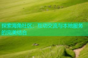 探索海角社区：互动交流与本地服务的完美结合
