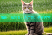 海角：高清看，无广告，多样内容