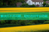 解决打不开问题，轻松访问平台功能