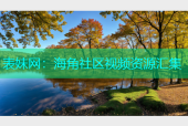 表妹网：海角社区视频资源汇集