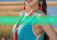 海角社区：网络延迟优化专家