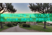 海角社区iOS版下载：全球华人社交平台，动态分享、资源互助、多语种交流