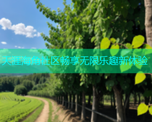 天涯海角社区畅享无限乐趣新体验  第2张