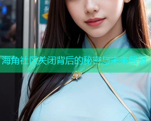 海角社区关闭背后的秘密与未来展望  第1张