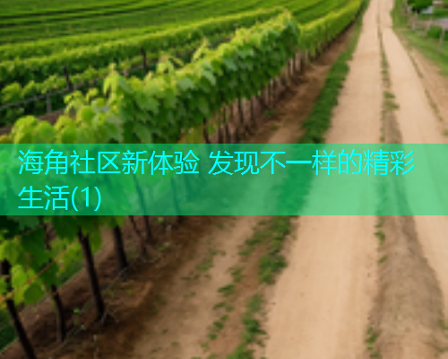 海角社区新体验 发现不一样的精彩生活(1)  第1张