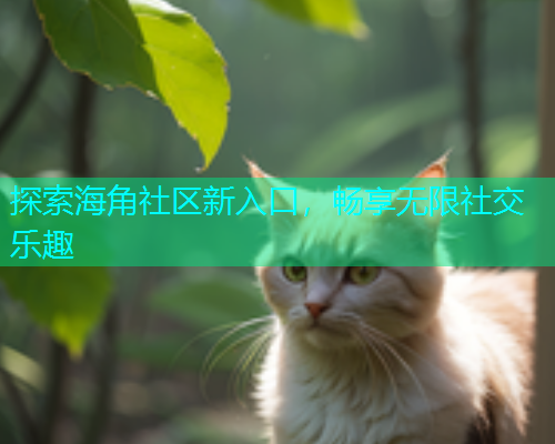 探索海角社区新入口，畅享无限社交乐趣  第2张