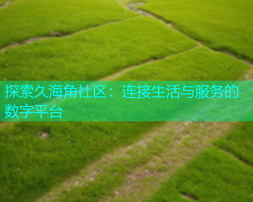 探索久海角社区：连接生活与服务的数字平台  第1张