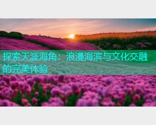 探索天涯海角：浪漫海滨与文化交融的完美体验  第2张