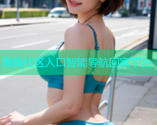 海角社区入口智能导航回家平台  第1张