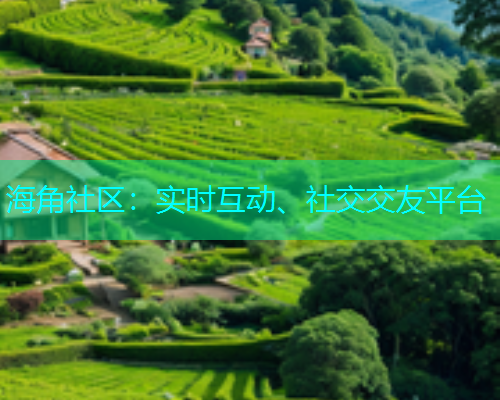 海角社区：实时互动、社交交友平台  第1张