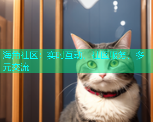 海角社区：实时互动、社区服务、多元交流  第2张