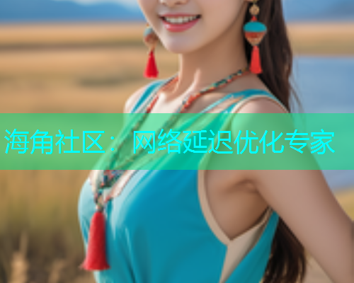 海角社区：网络延迟优化专家  第1张