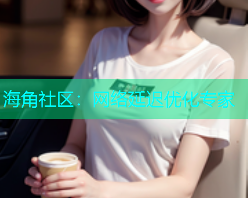 海角社区：网络延迟优化专家  第1张